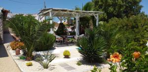 a garden with a pergola and some plants at Casa Uldina in Bombarral