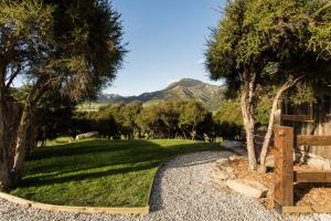 a gravel path leading to a yard with trees and mountains at The Kanuka Cabin in Wanaka