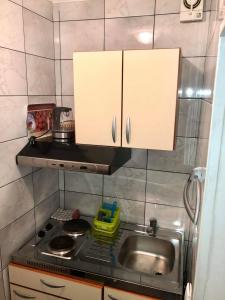 Kuchyňa alebo kuchynka v ubytovaní Studio Apartment in Lopar with Terrace, Air Conditioning, Wi-Fi (4842-1)