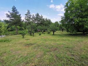 Paesaggio naturale nelle vicinanze della casa vacanze