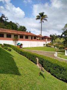 un pájaro caminando sobre el césped frente a un edificio en Pousada Pedacinho do Ceu chale 2, en Cunha 35 fotos más