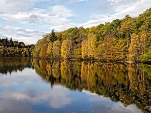 a lake in the middle of a forest with trees changing colors at The Well House in Pitlochry