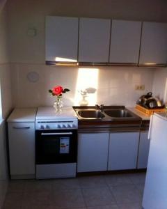 Kuchyň nebo kuchyňský kout v ubytování Apartment in Lopar with sea view, terrace, air conditioning, washing machine (4848-1)