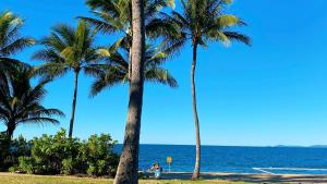 a group of palm trees on the beach at Shoredrive Motel in Townsville