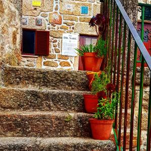 un conjunto de escaleras con macetas. en Casa Dr. Saba, en Belmonte