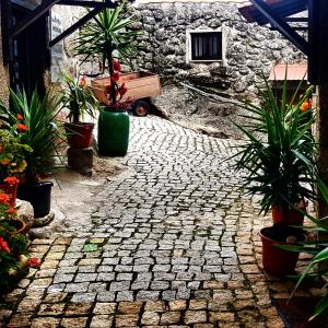 a stone walkway with potted plants in a courtyard at Branca Gonçalves Belmonte in Belmonte