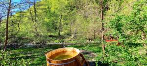 Gallery image of Korondi Pisztrangos in Corund +59 photos
