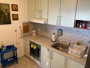 a kitchen with a sink and a counter top at Apartments Vila Vino in Sveta Nedelja