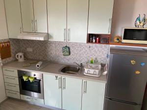 a kitchen with white cabinets and a sink and a microwave at Apartments Vila Vino in Sveta Nedelja