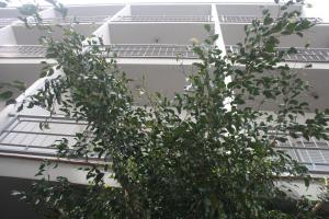 Balkón alebo terasa v ubytovaní Hostal Torre Mar