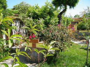 Zahrada ubytování Hotel Villaggio Tabù