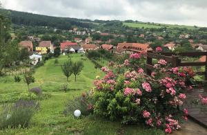 Príroda v okolí dovolenkového domu