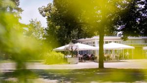 Zahrada ubytování Bata Club Haus