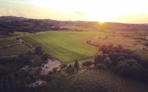 an aerial view of a farm with the sun in the background at La Falconara in Montepulciano