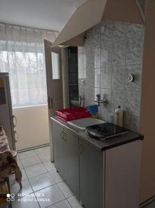 Kuchyňa alebo kuchynka v ubytovaní Jarzębinka