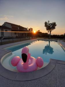 een roze opblaasbare zwaan in een zwembad bij zonsondergang bij VISTALAGO VERSILIA in Massarosa