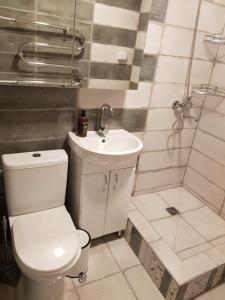 y baño con aseo, lavabo y ducha. en Ramuma en Anykščiai