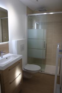 La salle de bains est pourvue de toilettes, d'un lavabo et d'une douche. dans l'établissement Appartement en RDC au cœur du Grau du Roi, au Grau-du-Roi