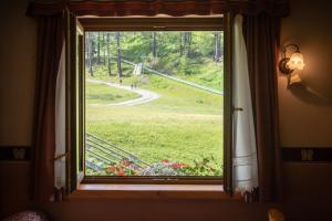 Zahrada ubytování Hotel Della Nouva