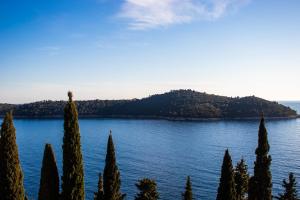 uma vista para um lago com árvores no primeiro plano em Villa Odak em Dubrovnik