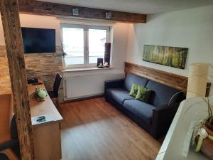 TV a/nebo společenská místnost v ubytování Inn-Apartments