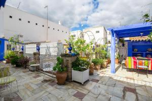 Zahrada ubytování Veoapartment Alfalfa Terraza