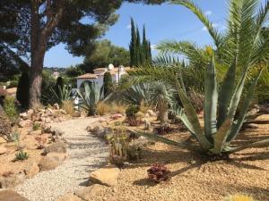 A garden outside VILLA ALCAZAR