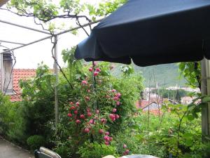 Zahrada ubytování Guesthouse Panorama