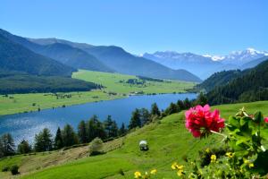 a view of a lake and mountains with a pink flower at Panorama Lodges Plagött in San Valentino alla Muta