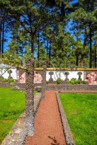 a pathway in a park with a bench and trees at La Casa Encantada del Bosque in Icod de los Vinos