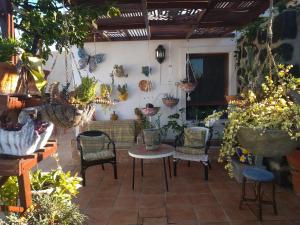 eine Terrasse mit einem Tisch, Stühlen und Pflanzen in der Unterkunft Apartamento tranquilo in Playa Blanca