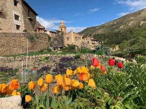 Gallery image of Las Moradas Del Temple in Mirambel