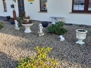 einen Garten mit weißen Vasen und Pflanzen vor einem Gebäude in der Unterkunft Karlshagen - Lissis Feriendomizil in Ostseebad Karlshagen