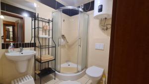 a bathroom with a shower and a toilet and a sink at Apartamenty Bajka Białka Tatrzanska z Kuchnią tel 60806 - 4835 in Białka Tatrzanska +33 photos