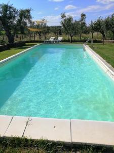 a large pool with blue water in a yard at Podere Montecorno in Alberese
