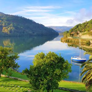 ein Boot an einem Fluss angedockt ist in der Unterkunft Douro Suites in Ribadouro