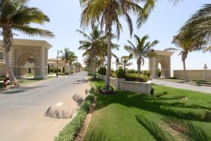 una strada con palme sul lato di una strada di شاليه سبرينج للعائلات Spring a King Abdullah Economic City