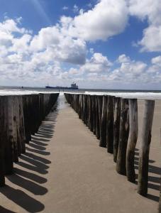 een pier op het strand met de oceaan op de achtergrond bij Studio Compact in Middelburg
