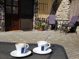 dos tazas de café sentadas en una mesa en Ubytovanie pod Hradom, en Sklené Teplice