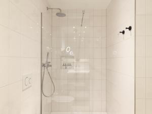 a bathroom with a shower with a glass door at Townhouse Apartments Maastricht in Maastricht +28 photos