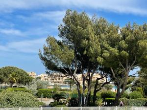 two trees in a park with a building in the background at My Little Provence Bormes Les Mimosas in Bormes-les-Mimosas