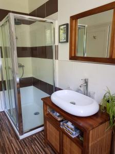 a bathroom with a sink and a shower at Les Charrons in Ségur-le-Château