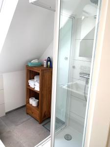 uma casa de banho com um chuveiro e uma porta de vidro em Ferienwohnung Möwe 14 em Schleswig