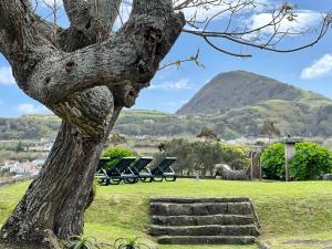 un albero con alcune sedie e una montagna sullo sfondo di Casa de Pilatos a Mosteiros