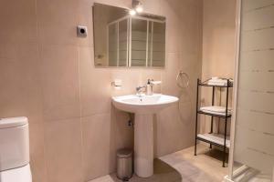 ein Badezimmer mit einem Waschbecken, einem Spiegel und einem WC in der Unterkunft Apartamento Abuela Benita in Cebreros