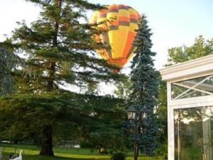 a hot air balloon is flying over a tree at Au Bas Chalonge Gite Le Four à Pain in Ligné