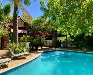 a swimming pool in front of a house with trees at The Little Hideaway Guesthouse in Stellenbosch