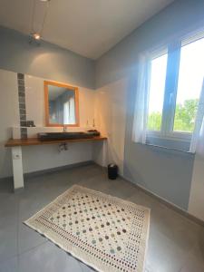 een badkamer met een wastafel en een spiegel bij Les Centaurines in Saint-Siffret