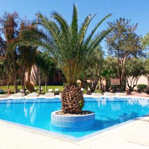 una palmera sentada junto a una piscina en La Maison Des Oliviers, en Marrakech