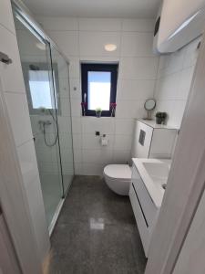 a bathroom with a toilet and a shower and a sink at Gościnny Zakątek in Chłopy